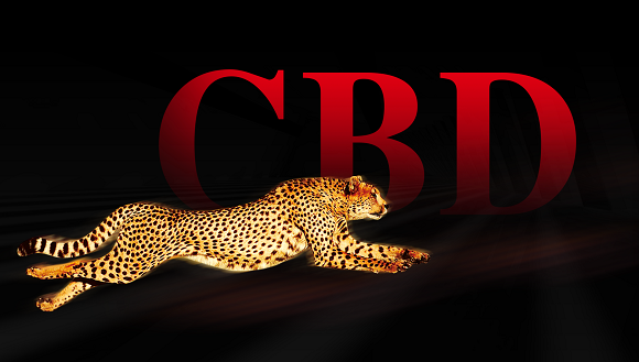 {be12a22b-317e-48c2-bfa1-de374a3342f0}