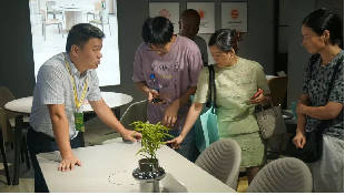 聚焦内需！龙家展昨日开幕，凸现全球家具顺德时代的火爆魅力3417