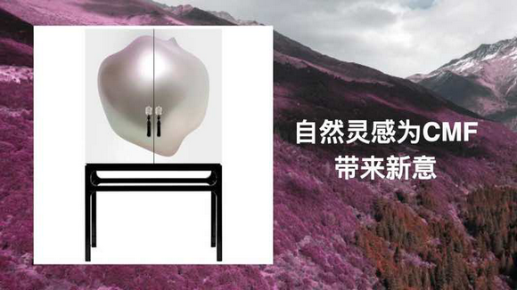 图片33