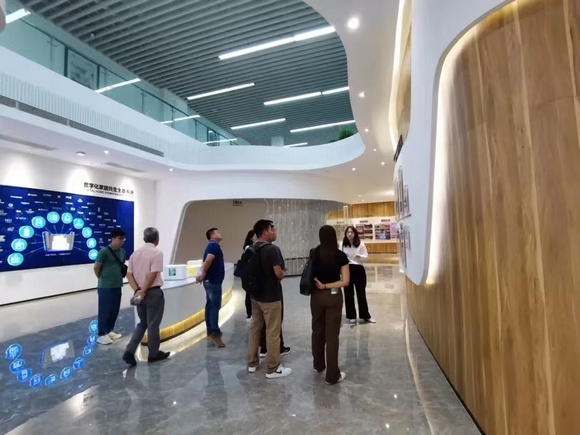 图片8