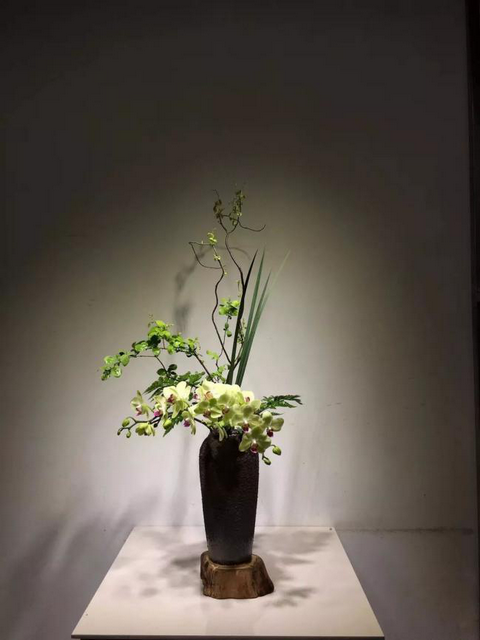 缸钵老师作品